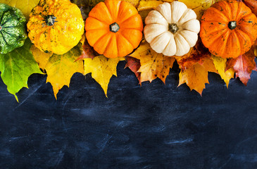 Autumnal colorful pumpkins, apples and fallen leaves  on dark background