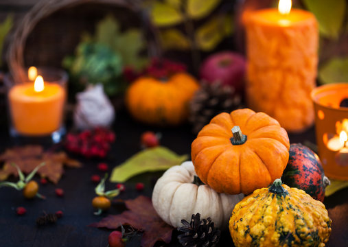 Autumnal colorful  pumpkins  on candle and fallen leaves background