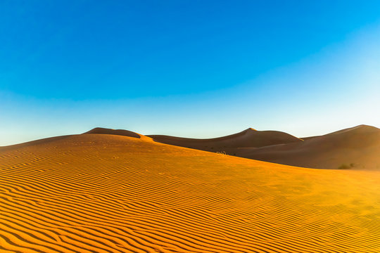 Desert landscape of the Sahara next to Mhamid in Morocco