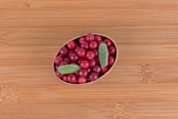 The forest berries. A lingonberry blueberries on a natural background.