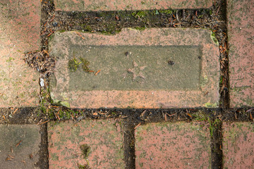 Brick pathway with imprinted detail