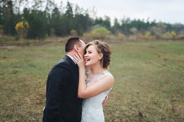 Beautiful and stylish newlyweds are hugging and smiling against the background of a green field and forest. A wedding portrait of an adult groom in a black suit and a cute bride in a lavish dress.