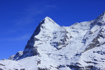 Fototapeta na wymiar Eiger Berg in der Schweiz