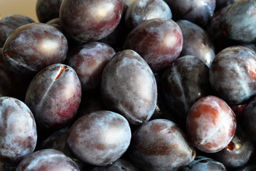 Fresh plums background. Top view of fresh plums