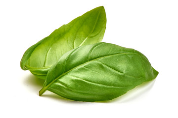 Basil leaves spice closeup, isolated on white background.