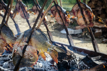fish ready to smoke