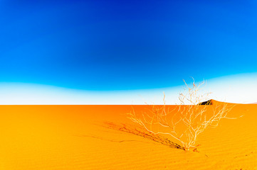 Dunes in the Sahara desert next ot Mhamid in Morocco
