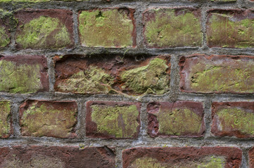 Średbiowieczne cegły