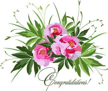 Bouquet of pink peonies on white, vector illustration