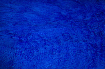 Natural fur. Wavy texture. Blue color.