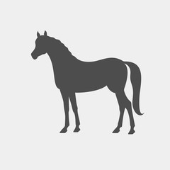 Obraz premium Horse vector silhouette. Farm animal silhouette
