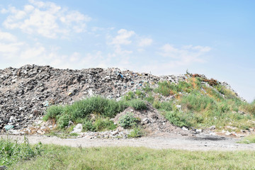 Landfill site, ecological catastrophe 