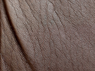 Seams of a leather sofa
