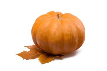 Pumpkin On Orange Leaf