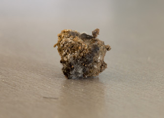 Fertilizer for mushroom macro