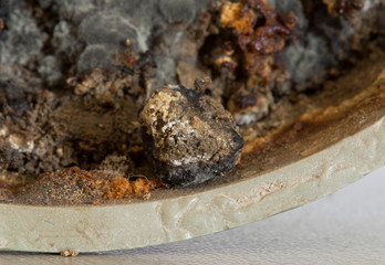 Fertilizer for mushroom macro