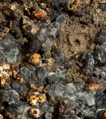 Fertilizer for mushroom macro