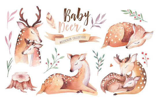 Cute watercolor baby deer animal , nursery isolated illustration for children clothing, pattern. WatercolorHand drawn boho image Perfect for phone cases design, nursery posters, postcards