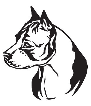 Decorative portrait of Dog American Staffordshire Terrier 2 vector illustration