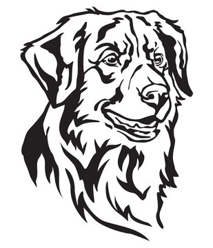 Decorative portrait of Dog Toller vector illustration