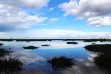 blue sky and clouds reflected in the mirror water