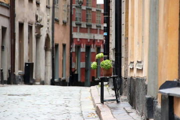 Pot with flower on a stool on the street of the old town