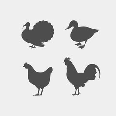 Chicken, rooster, duck, turkey vector silhouettes. Farm animals silhouettes