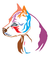 Colorful decorative portrait of Dog American Staffordshire Terrier 2 vector illustration