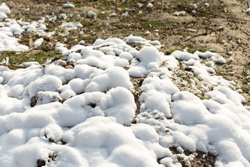 snow on the ground in nature
