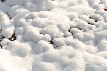 snow on the ground in nature