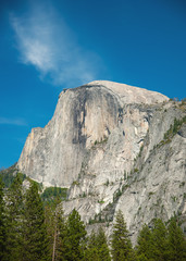 View of Half Dome from the valley below with trees in the foreground.  California, June 2018. Vertical image.