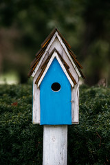 Blue bird house on a rainy day