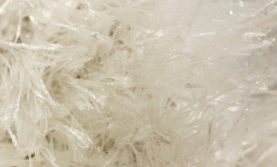 white wool as background