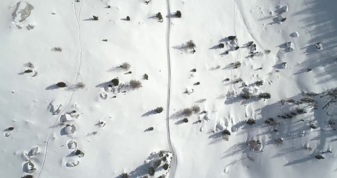 Forward overhead vertical aerial above snowy land with trees along trail path.Sunny day.Winter Dolomites Italian Alps mountains outdoor nature establisher.4k drone flight establishing shot