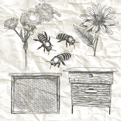 Vector illustrations set with bees, flowers, hive and honeycomb.