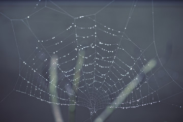 Spiderweb Jewelry