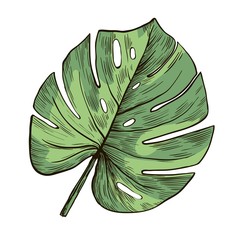 green leaf monster pattern on white background