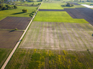 Drone Photo of the Road Between Trees in Colorful Early Spring - Surrounded with Freshly Cultivated Fields