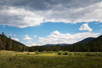 Mountain valley meadow