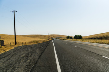 Beautiful Road Crossing yellow fields