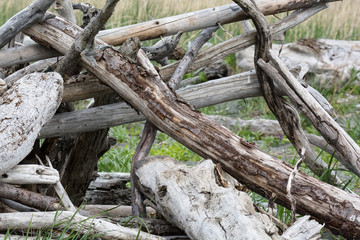 crossed bleached driftwood stack