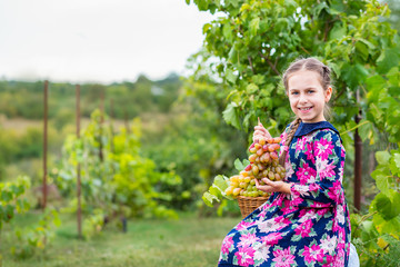 Little girl with grapes in the garden.