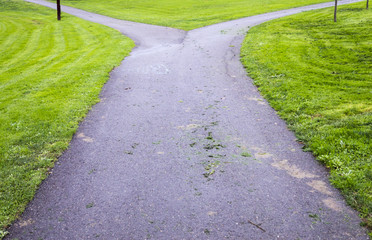bifurcation in a park path