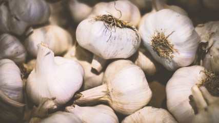 Fresh Garlic on the Market