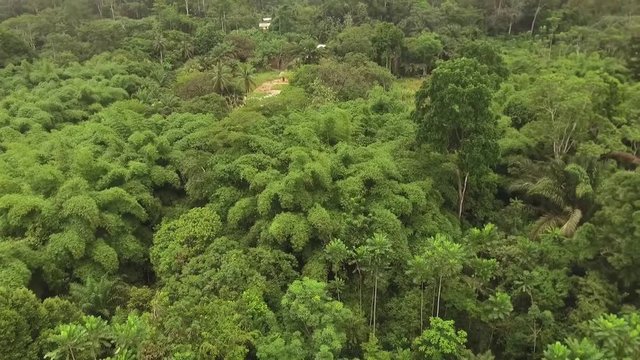 Aerial view of lush green forest in Kribi in Cameroon, west Africa. Drone moves forward and tilts up to show cloudy sky.