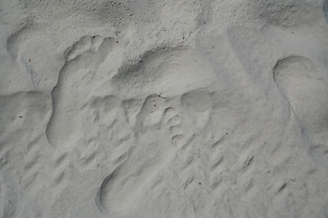 Footprints in the sand Daytona Beach, Florida.