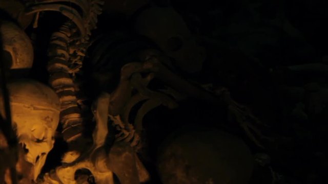 Skeleton pile revealed from shadows pan