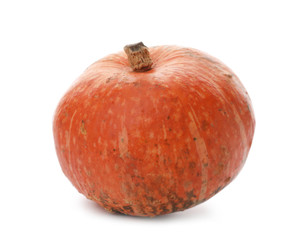 Fresh raw pumpkin isolated on white. Organic plant