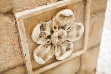 close up Texture of stone flower with petals of relief bulk from a decorative plaster of a stone with a pattern.