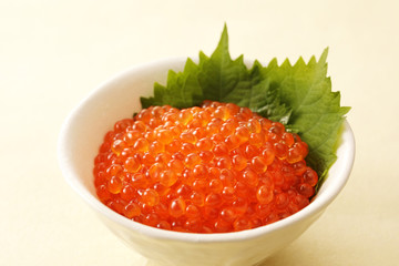 いくらの醤油漬け　Japanese soy sauce with the salmon roe